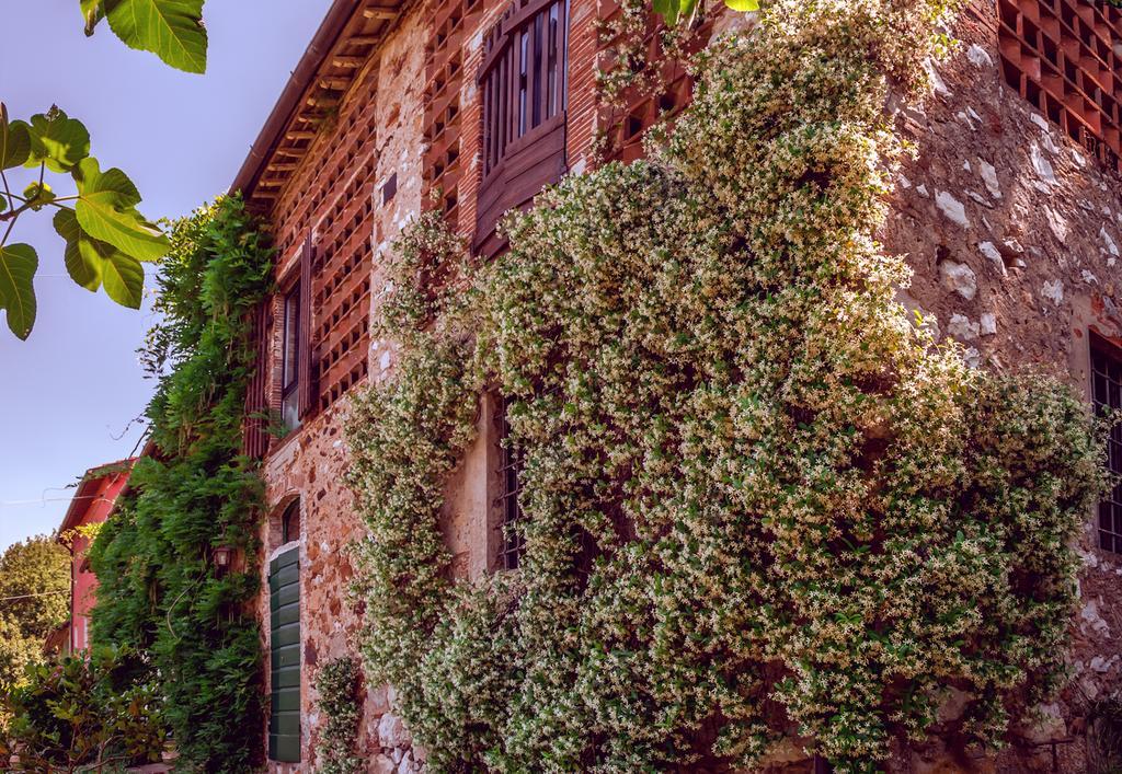 Corte Della Rusticuccia Lägenhet Lucca Exteriör bild